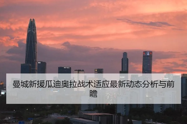 曼城新援瓜迪奥拉战术适应最新动态分析与前瞻